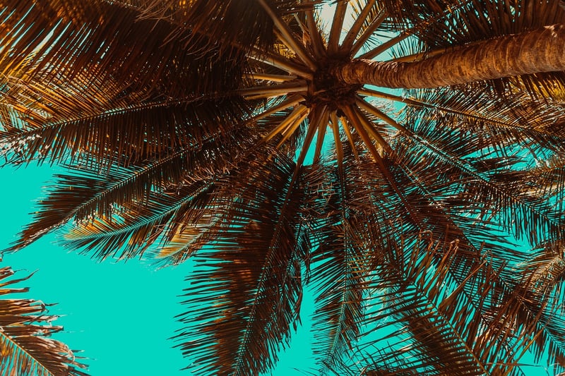The Maldives
